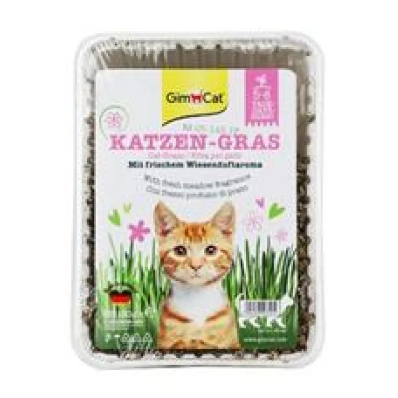 Gimpet kočka Tráva s luční vůní 150g