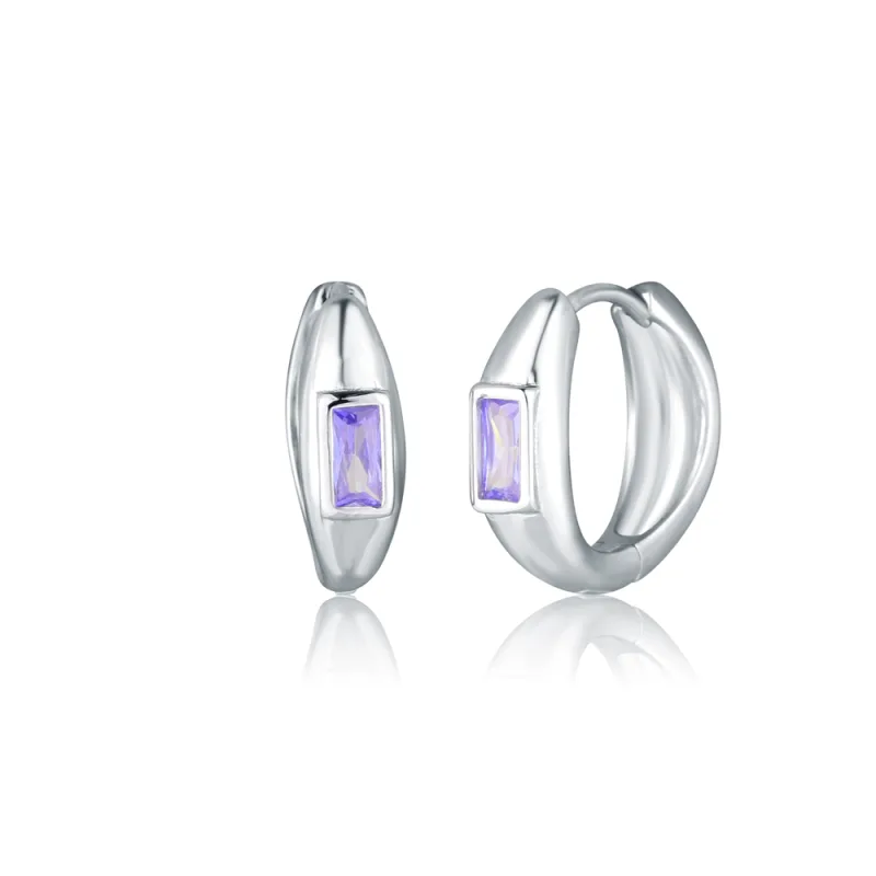 JVD Dámské stříbrné kruhové náušnice se zirkony SVLE0850SH2F100