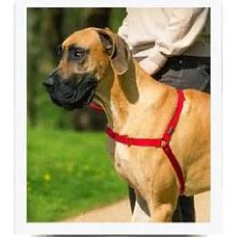 PetSafe postroj, EasyWalk, červený, velikost L