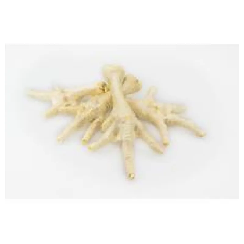 Kuřecí pařát bílý - 50 ks/bal