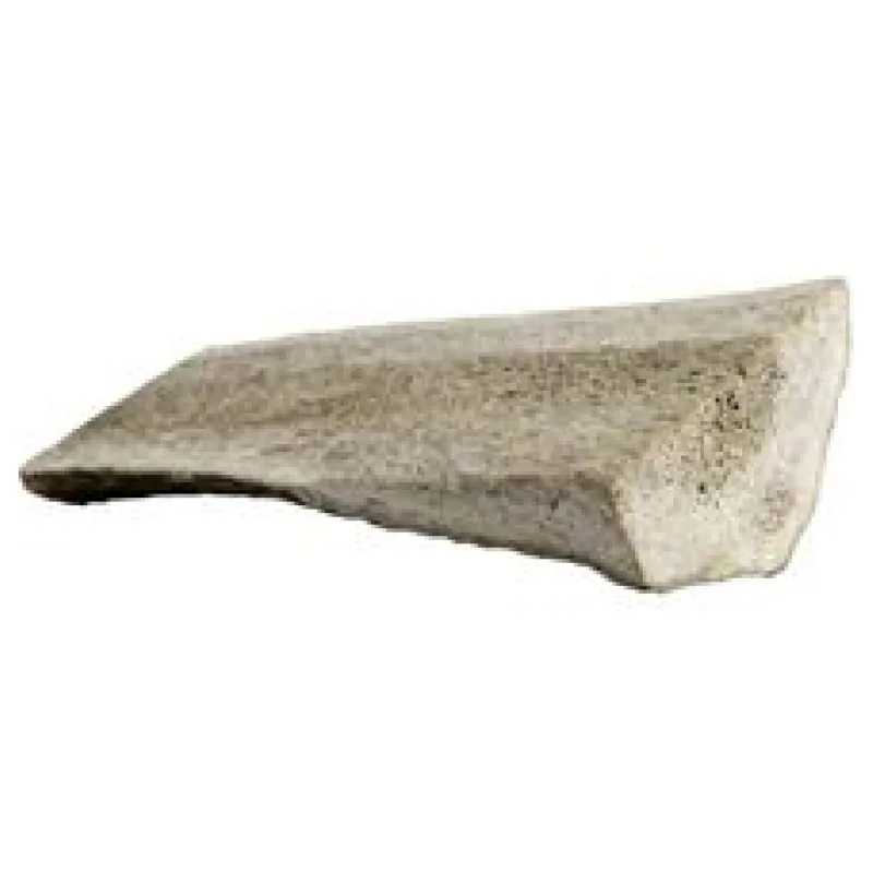 Jelení paroh dělený dělený mini 40-60g