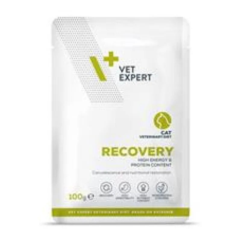 VetExpert VD 4T Recovery Cat kapsa 100g
