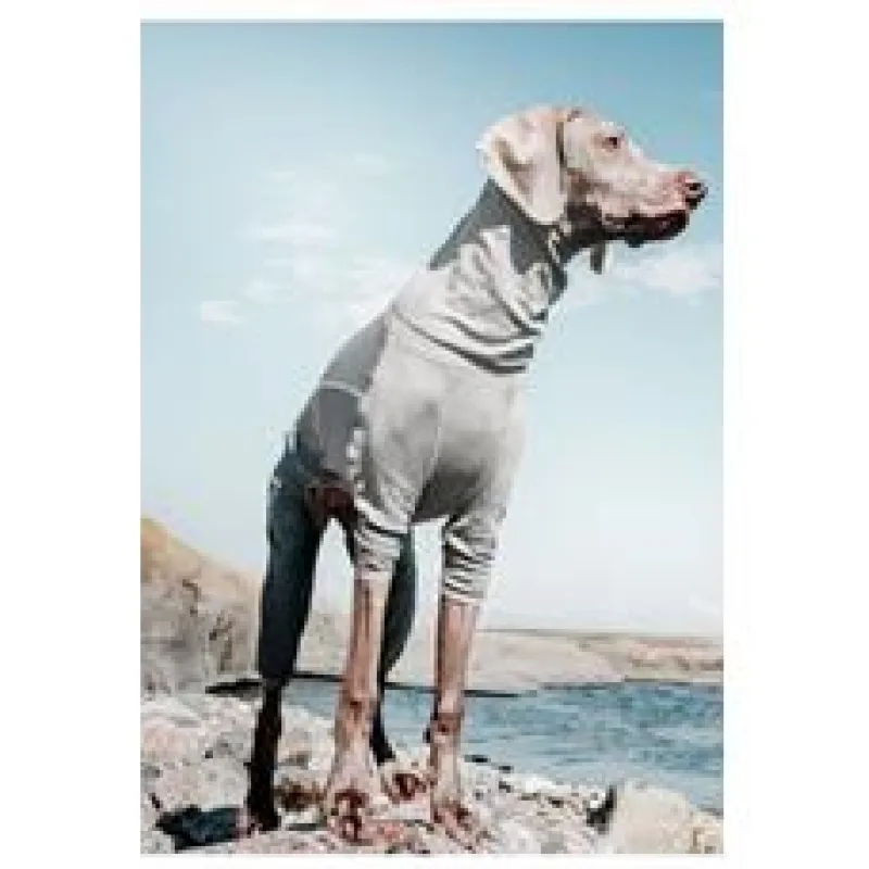 Obleček Hurtta Body Warmer šedý 35M