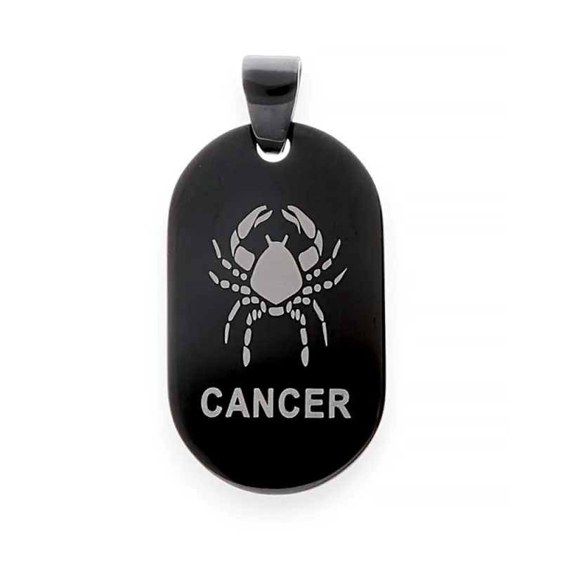 MPM Unisex ocelový černý nerezový přívěsek 6630 "rak" - černý