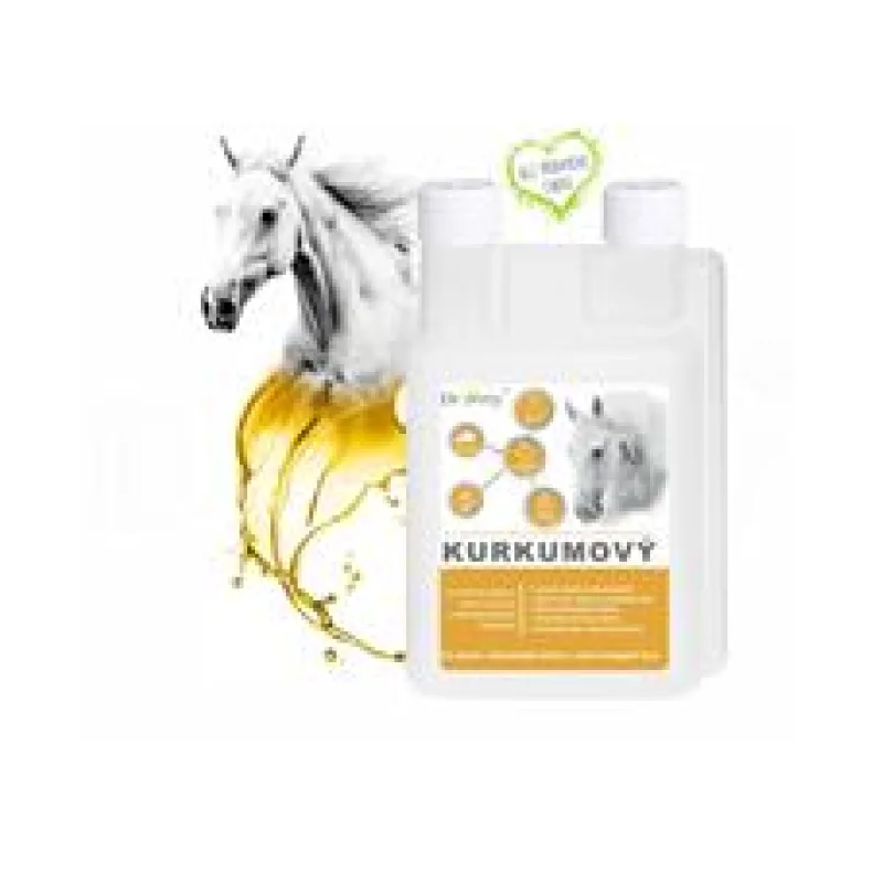 Dromy Kurkumový sirup 1000 ml