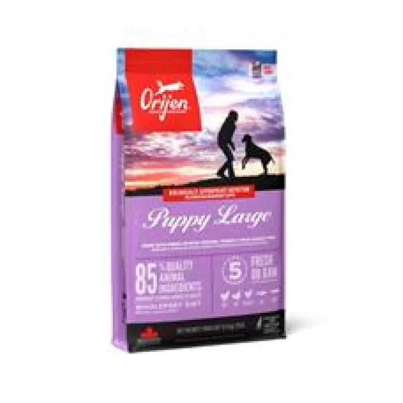 Orijen Puppy Large 6 kg