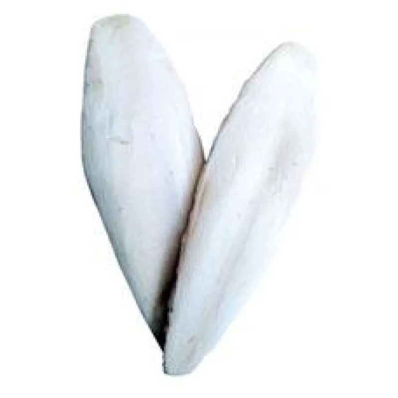 Kost sépiová 15cm (+/-3cm) 15cm (+/-3cm) / 15ks