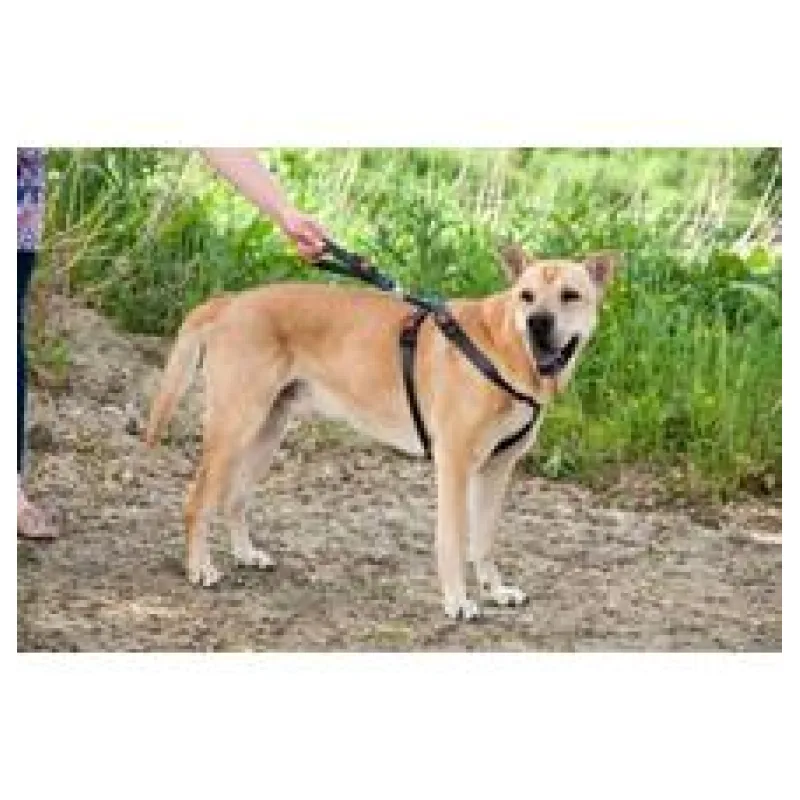 Karlie Bezpečnostní postroj do auta S/M 38-60cm x 25mm