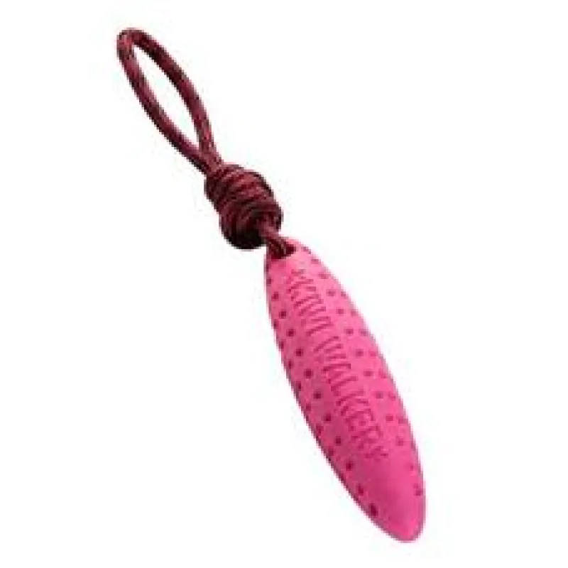 Hračka pes ZEPPELIN MAXI plov. z TPR pěny KW Modrá