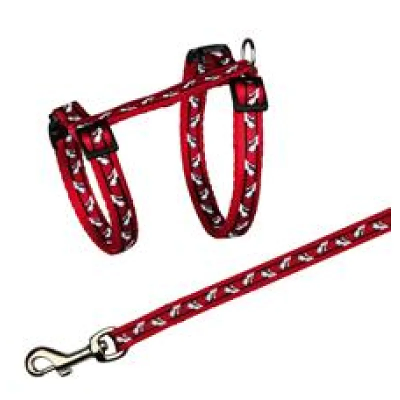 Postroj s vodítkem pro kočku - motiv 27-45cm/10mm 1,20m 1 ks