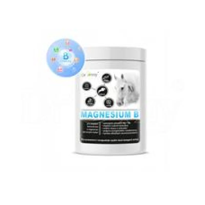 Dromy Magnesium B 5x 1 kg