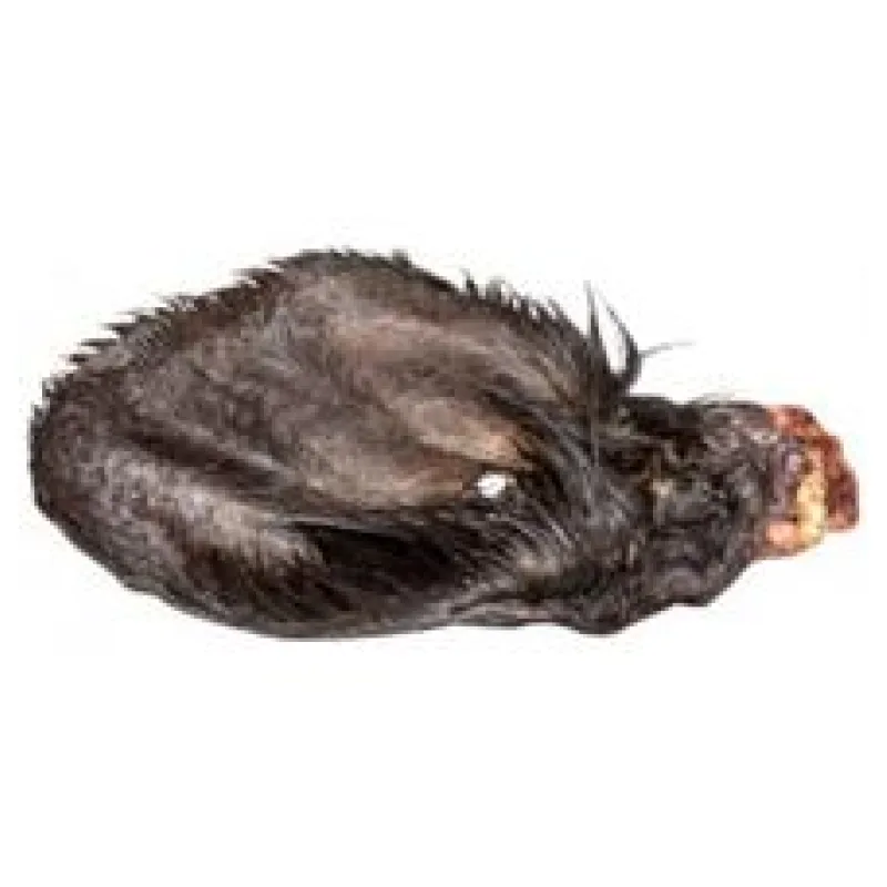 Ucho hovězí, sušené se srstí 1 ks