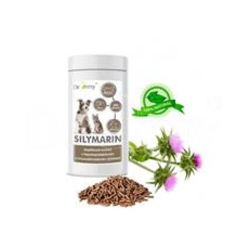 Dromy Silymarin BARF 600 g + 20% zdarma