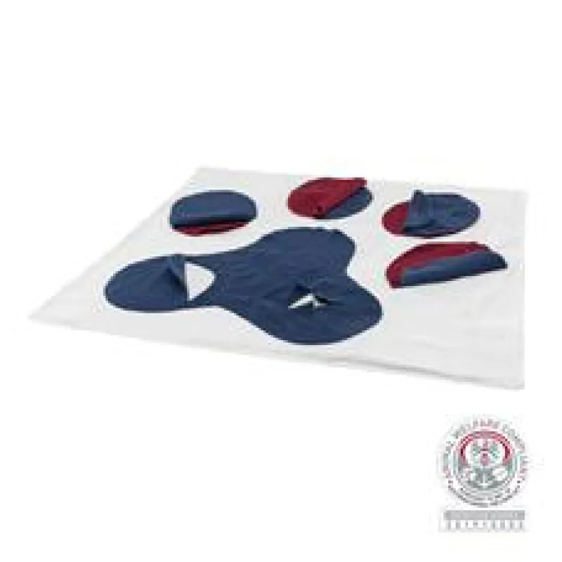 Dog Activity čichací deka, 70 x 70 cm