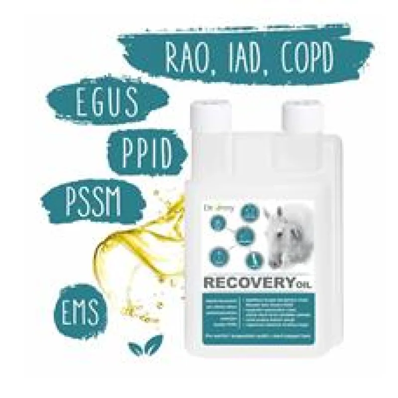 Dromy Recovery oil 1 L