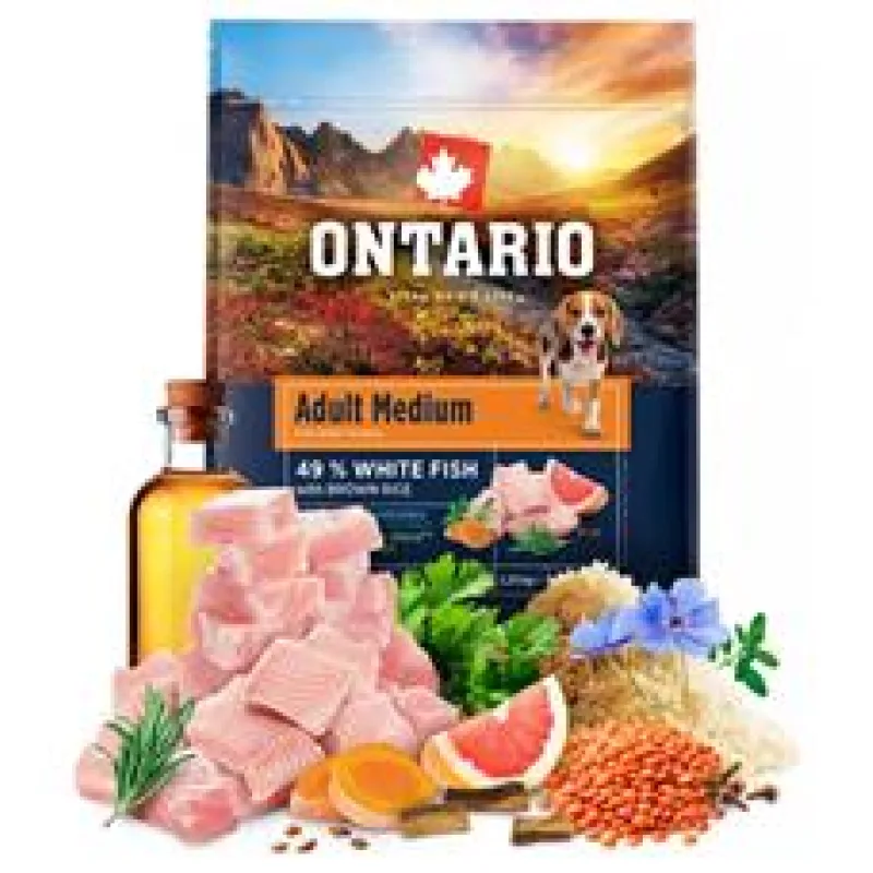 Ontario Adult Medium Fish & Brown Rice 2,25kg
