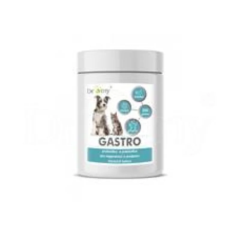 Dromy Gastro 250 g