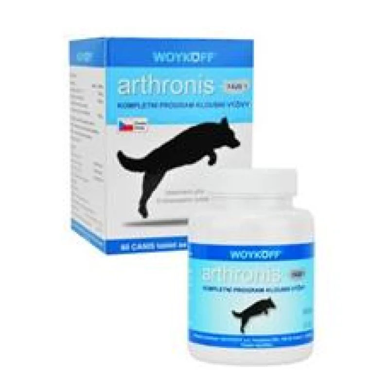 Arthronis Fáze 1 60 tbl