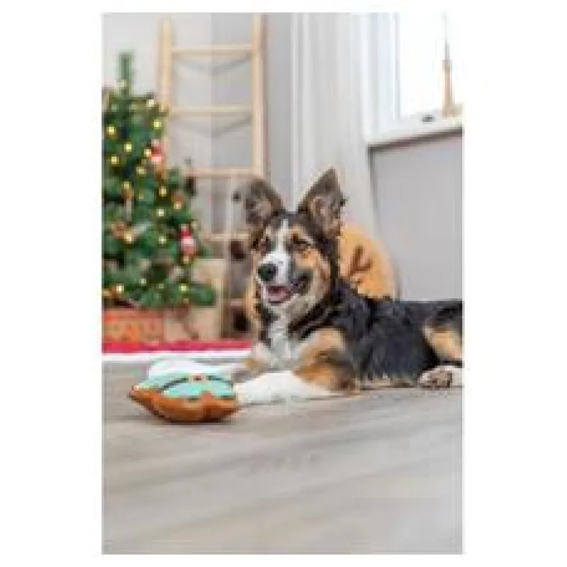 Xmas Santa - hračka pro psy, bez zvuku, plyš 22 cm