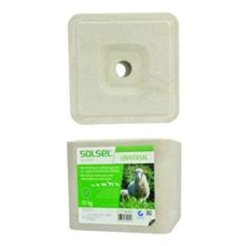 Liz solný minerální bez mědi 10kg kostka 10 kg