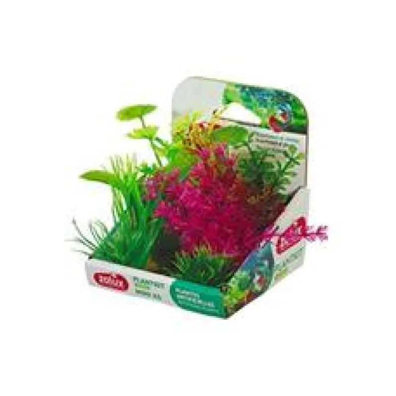 Rostliny akvarijní PLANTKIT 4 Zolux 1sada/ MINI 6ks