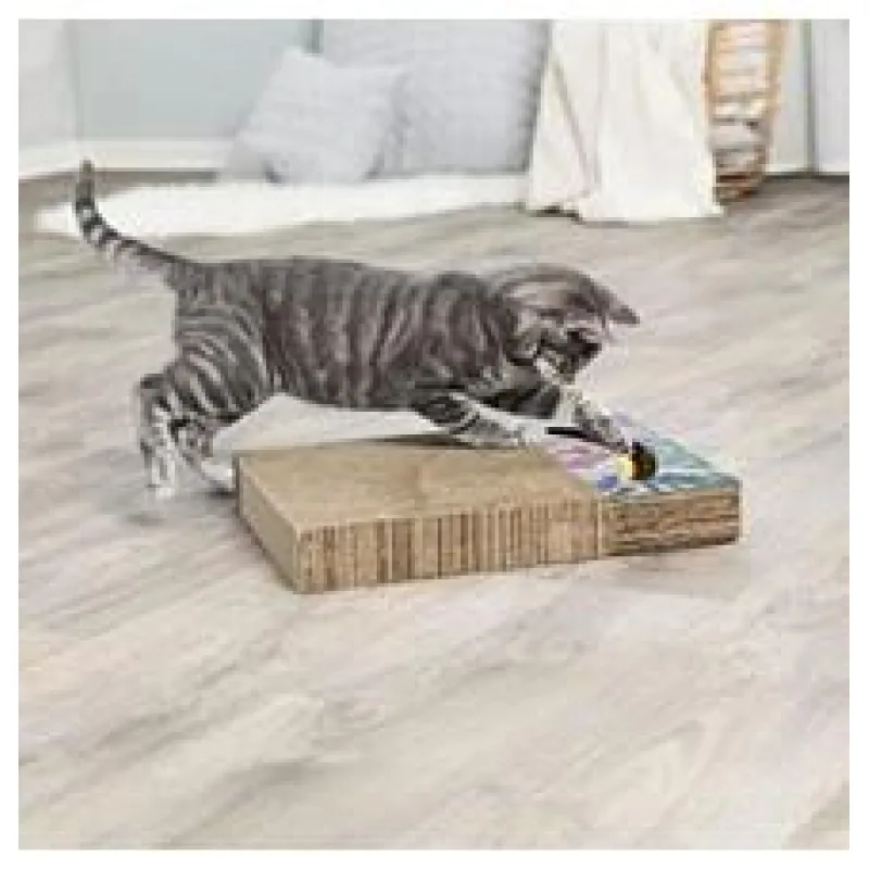 Škrabací karton s hračkou 38 x 30 cm barevný 38 x 30 cm