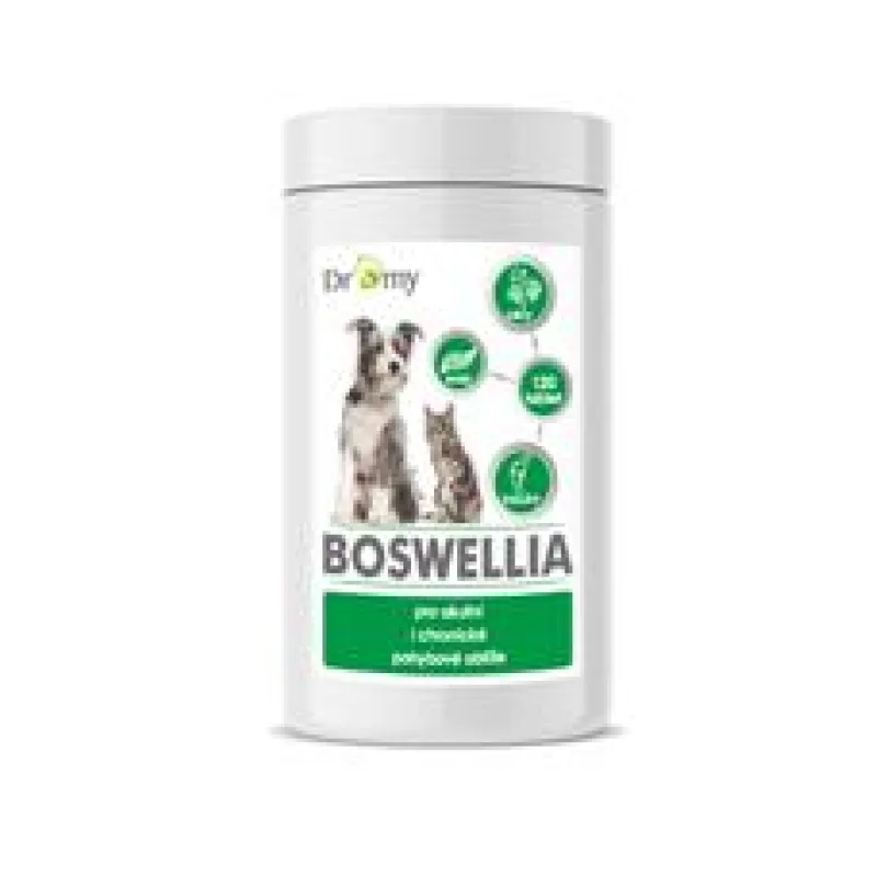 Dromy Boswellia 120 tbl.