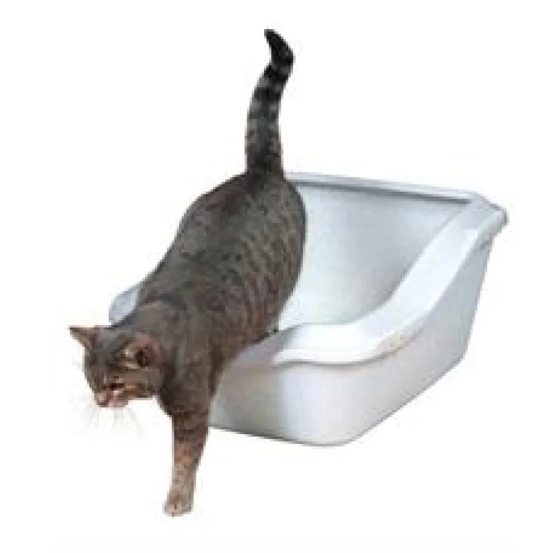 WC s okrajem, zvýšená zadní část 45x21(29)x54cm bílá