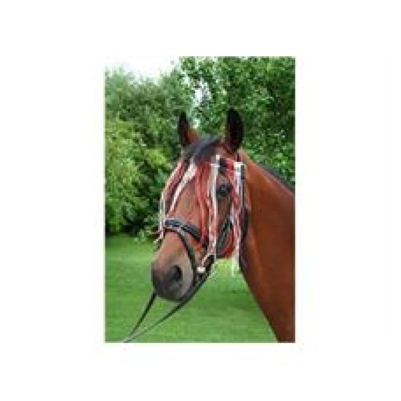 Čelenka s třásněmi proti hmyzu pony