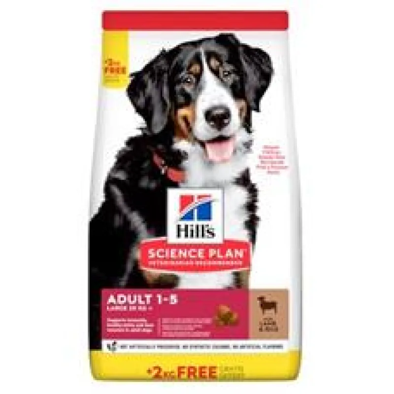 Hill’s Can. SP Adult Large Lamb&Rice 14 kg