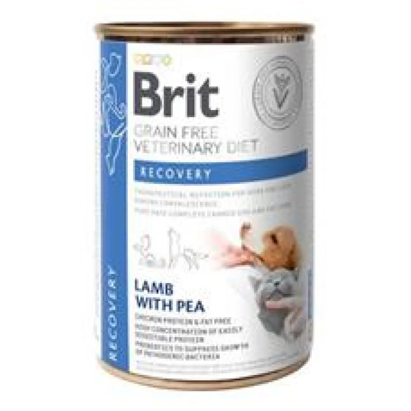 Brit VD Dog+Cat GF konz. Recovery 400 g - exp. 2/25 - 6 KS SKLADEM