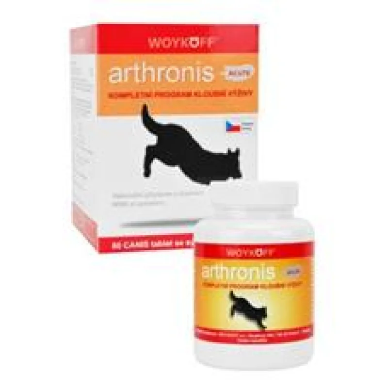 Arthronis Acute 5x60 tbl