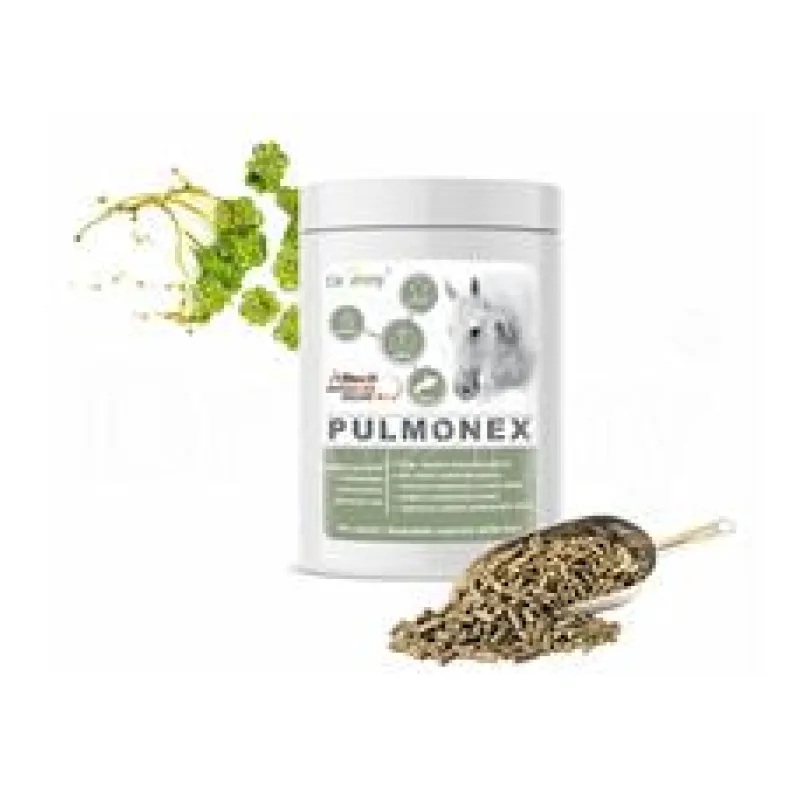 Dromy Pulmonex 1500g