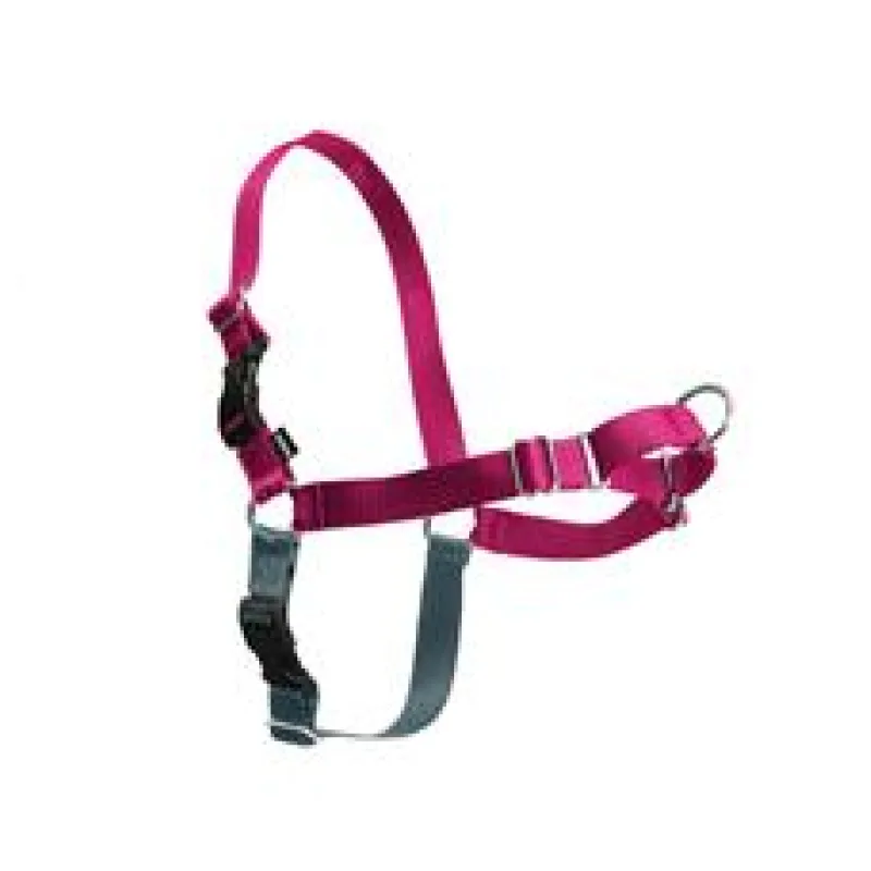 Postroj EasyWalk , malinový M