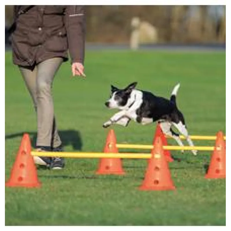 Dog Activity překážky (3 ks) 23 x 30 cm/78 cm oranž/žlutá 1 set/3ks překážek