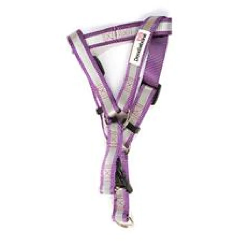 Doodlebone reflexní lehký postroj, fialový, velikost M