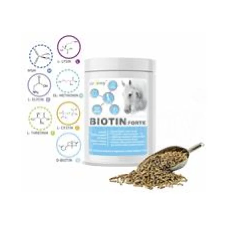 Dromy Biotin FORTE 750 g