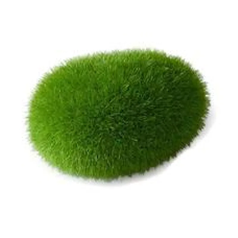 Dekorace do akvária Mech Aqua Della Duvo+ 6 x 4,5 x 3,5 cm 1 ks