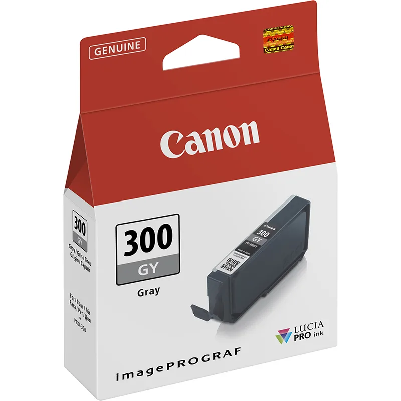 Canon PFI-300 Grey 4200C001