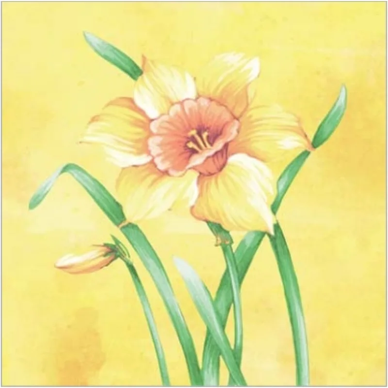 MANK 93195 obrúsky Airlaid Dinner 40x40cm Elvira 50ks