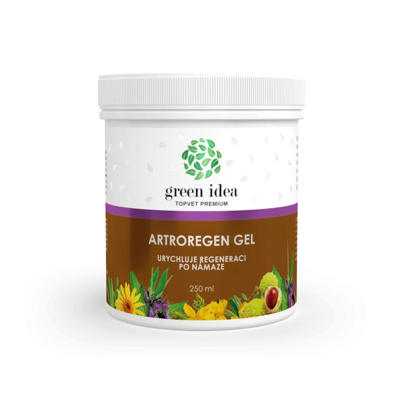 Green idea Artroregen masážny gél 250 ml -