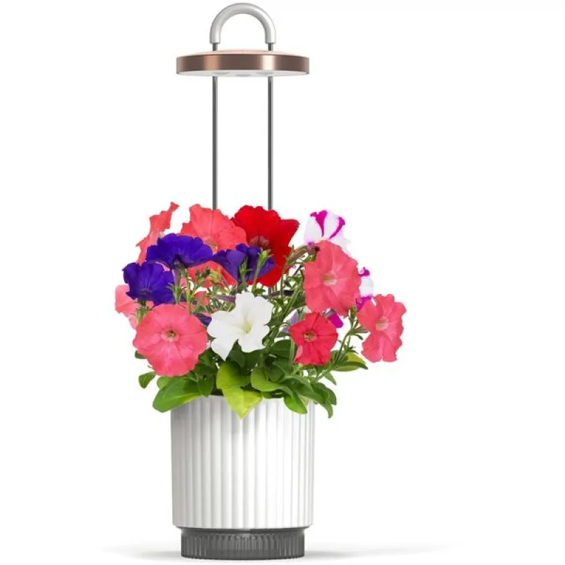 Smart Garden 1 Hydrovase, biela