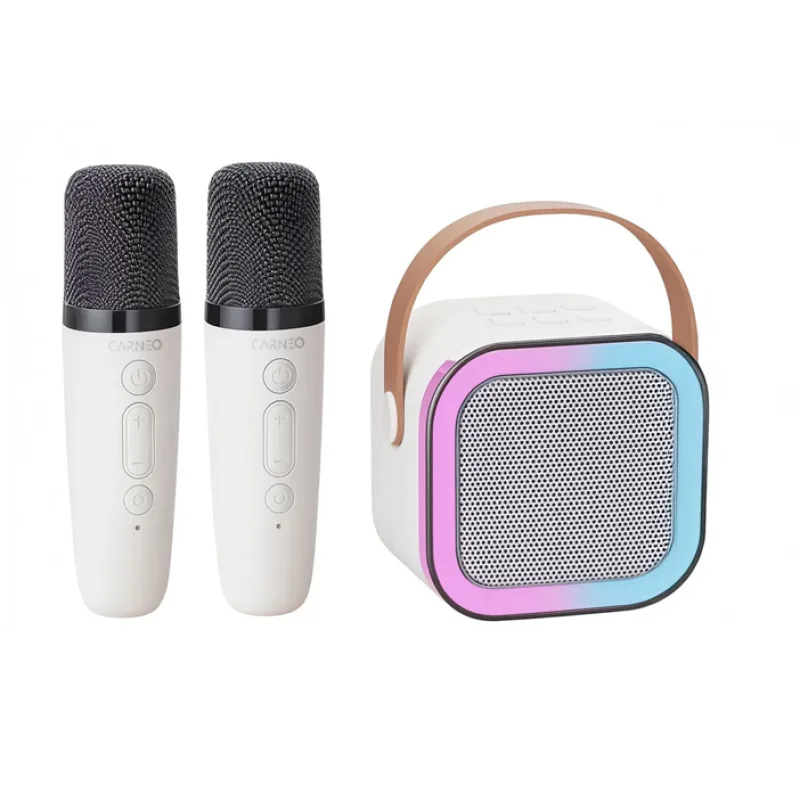 CARNEO Karaoke DJ mini