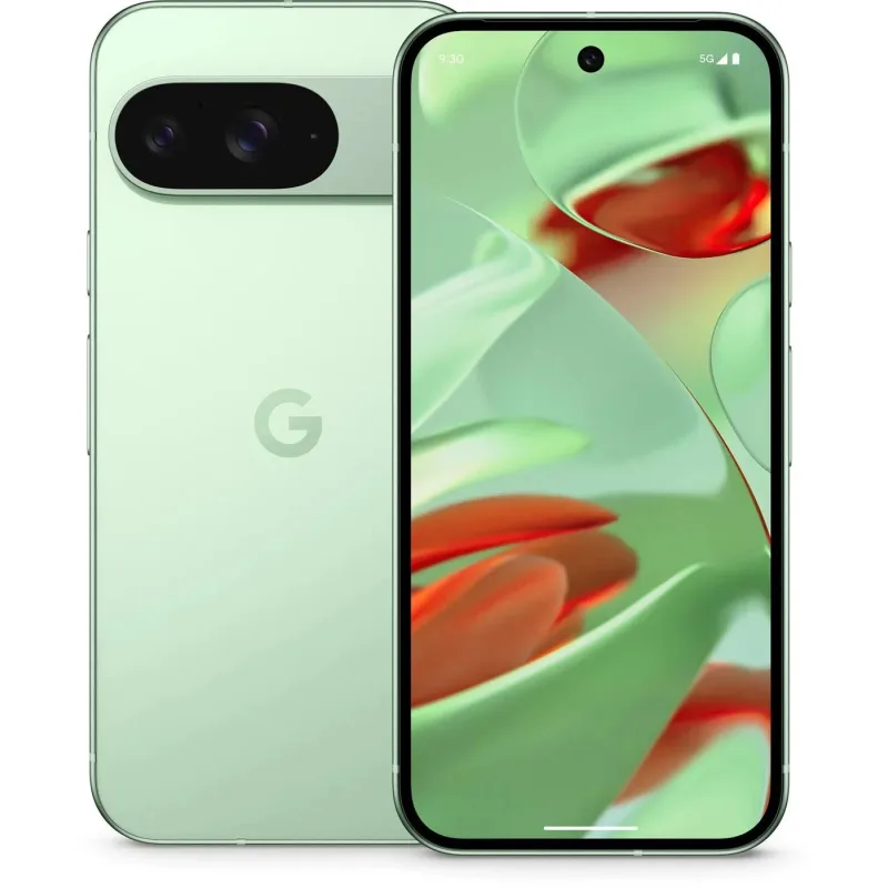 Google Pixel 9 - 256GB Wintergreen, EU GA05844-GB