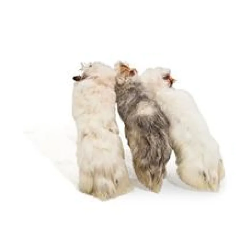 Králičí nožka se srstí 1 ks