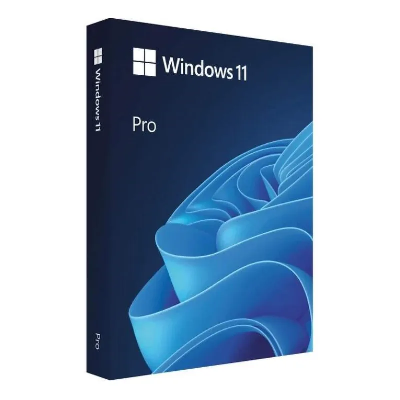 Windows Pro 11 64-bit Slovak USB HAV-00161