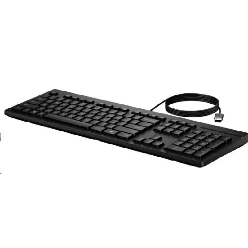 HP 125 G2 Wired USB Keyboard - ruská AY2Y7AA#ACB