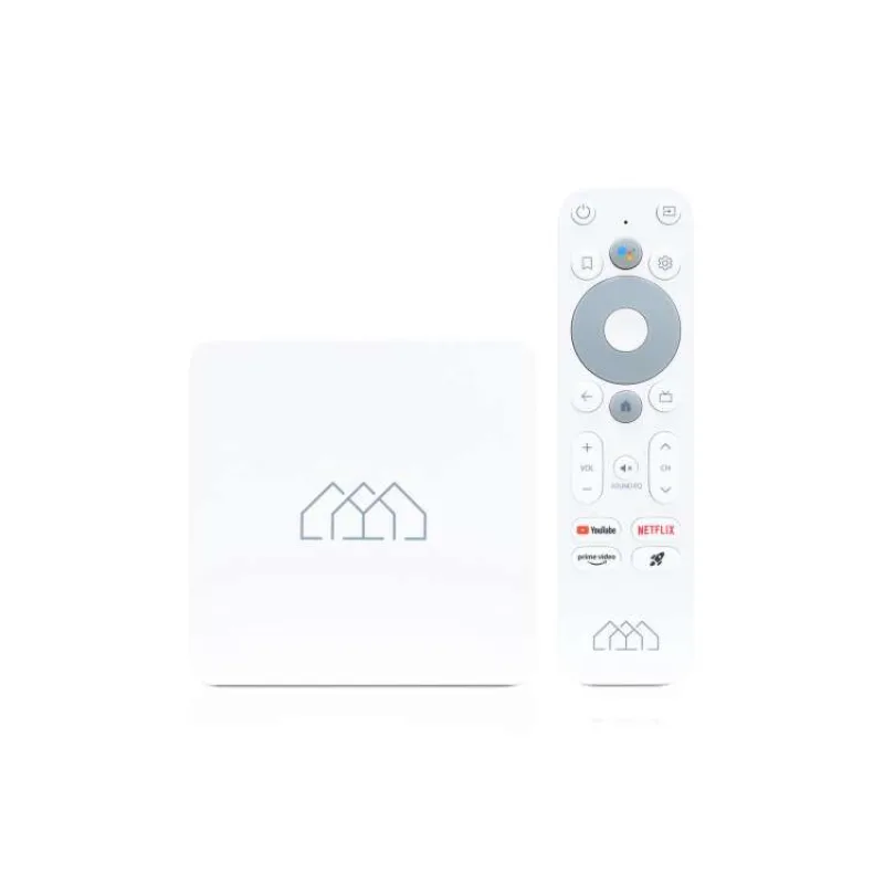 Homatics Box R Lite / 4K / Android TV 11 / 2GB RAM / 32GB eMMC flash/WiFi 5 (HOMATICS BOX R LITE)
