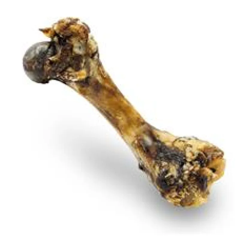 Šunková kost přírodní sušená 20cm/280g