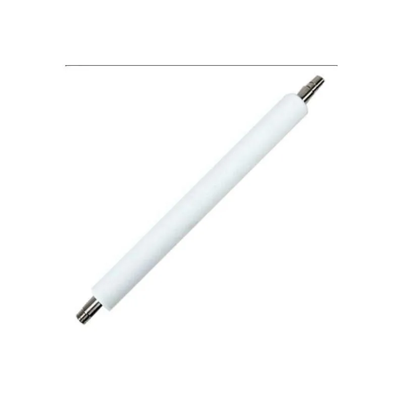 Platen Roller 300 dpi, ZD421T (P1112640-217)